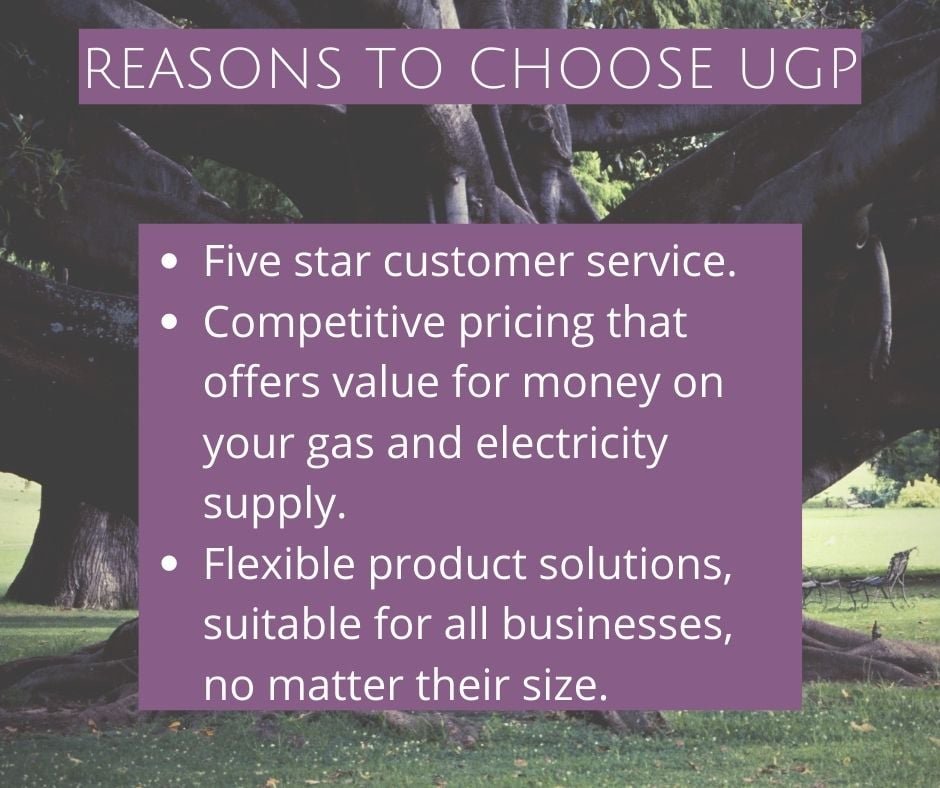 Reasons to Choose UGP-1